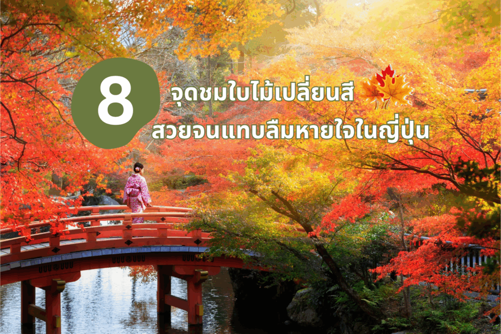 8 จุดชมใบไม้เปลี่ยนสี สวยงามจนแทบลืมหายใจในญี่ปุ่น