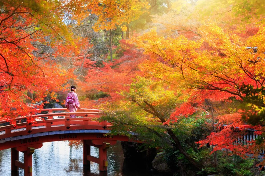 8 จุดชมใบไม้เปลี่ยนสี สวยจนแทบลืมหายใจ