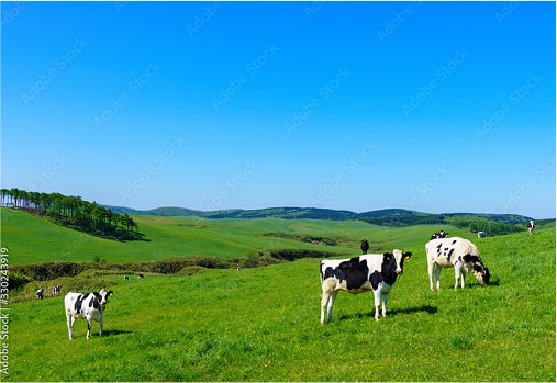 Hokkaido