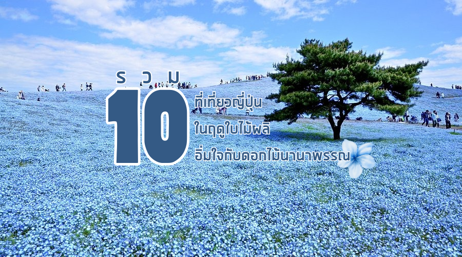 รวม 10 ที่เที่ยวญี่ปุ่นในฤดูใบไม้ผลิ อิ่มใจกับดอกไม้นานาพรรณ