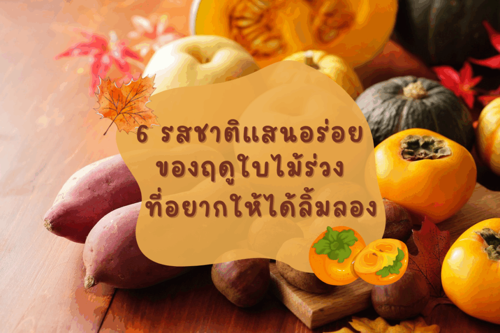 6 รสชาติแสนอร่อยของฤดูใบไม้ร่วง ที่อยากให้คุณได้ลิ้มลอง