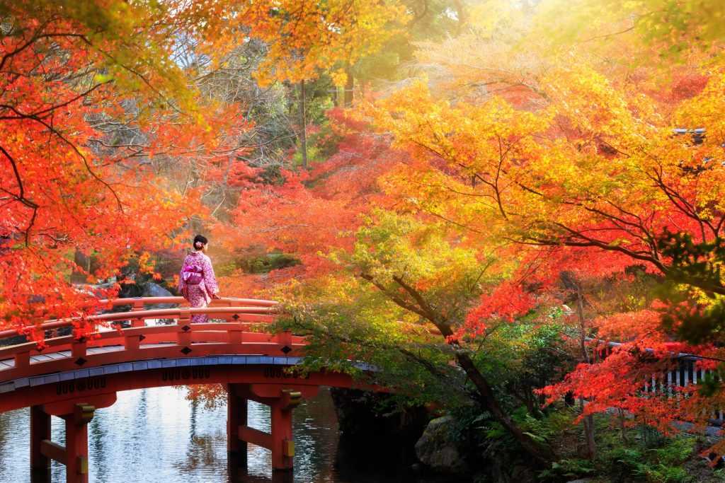 8 จุดชมใบไม้เปลี่ยนสี สวยงามจนแทบลืมหายใจในญี่ปุ่น