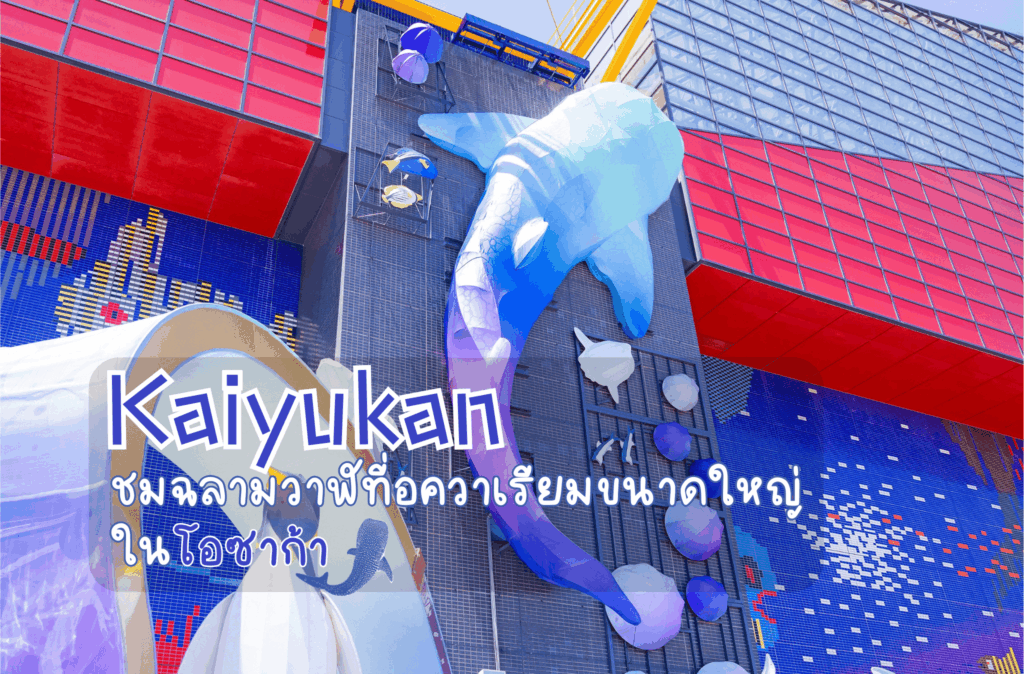 Kaiyukan: ชมฉลามวาฬที่อควาเรียมขนาดใหญ่ในโอซาก้า