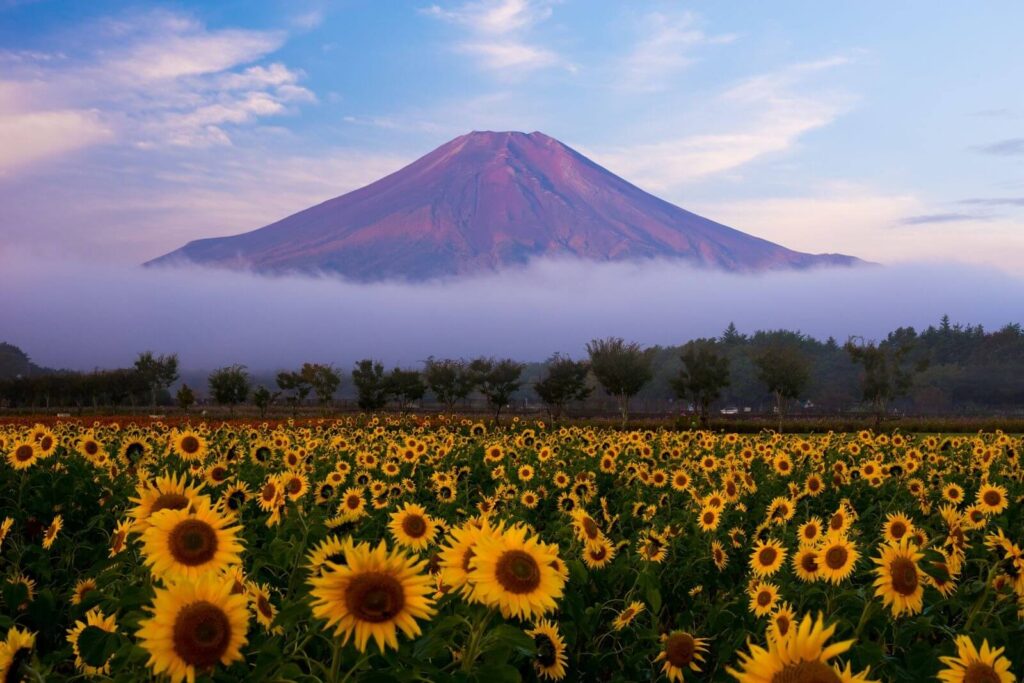 แนะนำ 8 สถานที่เที่ยวยอดนิยมรอบภูเขาไฟฟูจิ