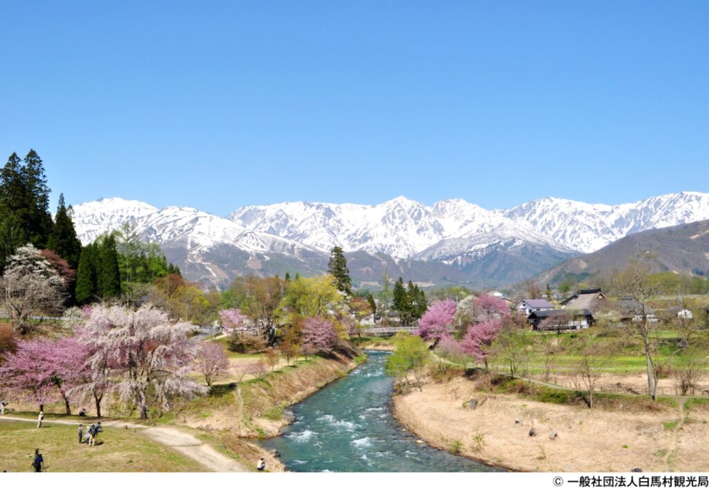 ภาพ: สวนโอเดะ (หมู่บ้านฮากูบะ จังหวัดนากาโนะ)