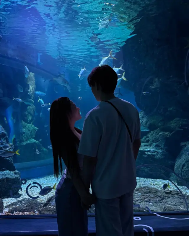 ดูปลากับเธอ 🐠 🇯🇵🇹🇭

#sibajapan #sealifeaquarium